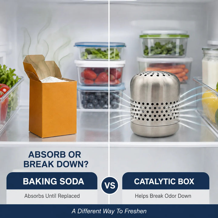 Stainless Steel Fridge Deodorizer - Catalytic Odor Eliminator