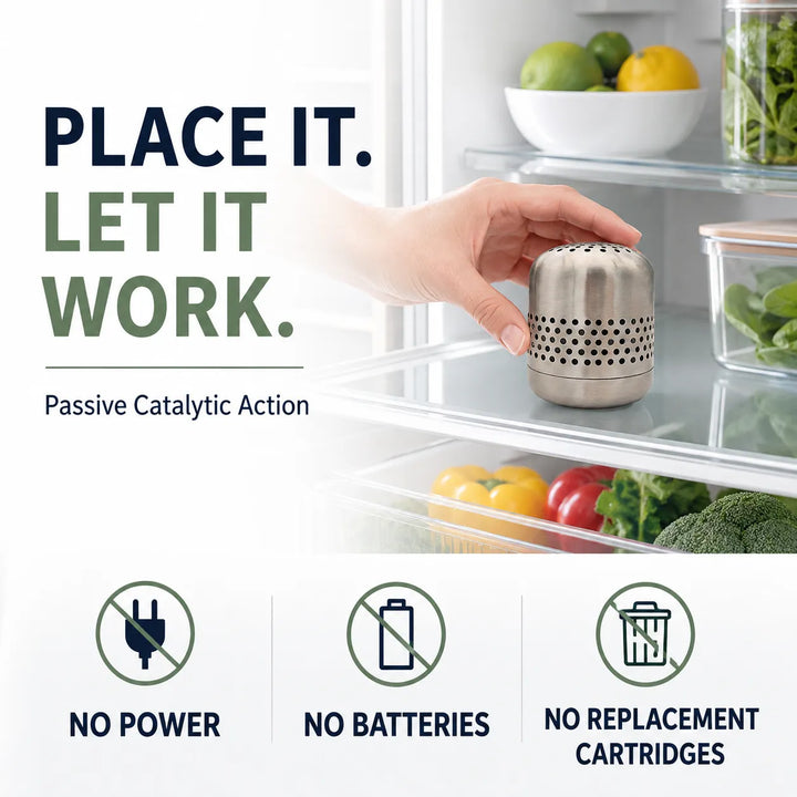 Stainless Steel Fridge Deodorizer - Catalytic Odor Eliminator