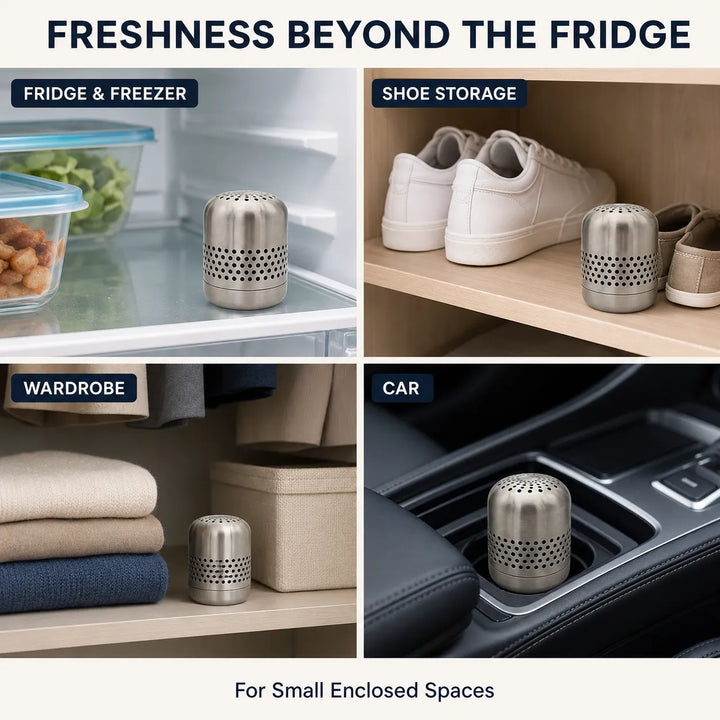 Stainless Steel Fridge Deodorizer - Catalytic Odor Eliminator