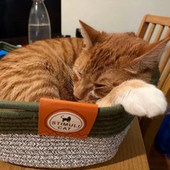 Handwoven Wicker Cat Basket – 2 Sizes, Toy &amp; Scratch‑Safe
