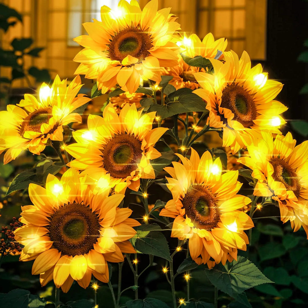 Solar Sunflower Lights | Bigger &amp; Brighter for Seniors&