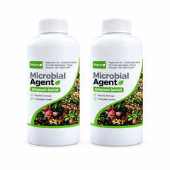 Orchard Cleaner - Fruit Tree Dormant Season Spray for Apple, Peach &amp; Citrus