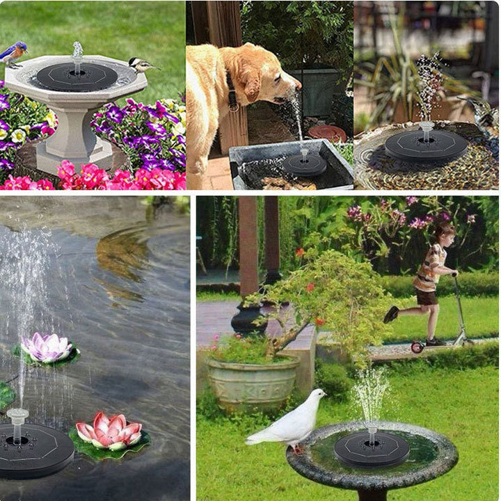 Solar Fountain | Anti-Drift Bird Bath Pump