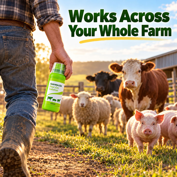 Ivermectin Pour-On Solution 250ml – Livestock Parasite Control