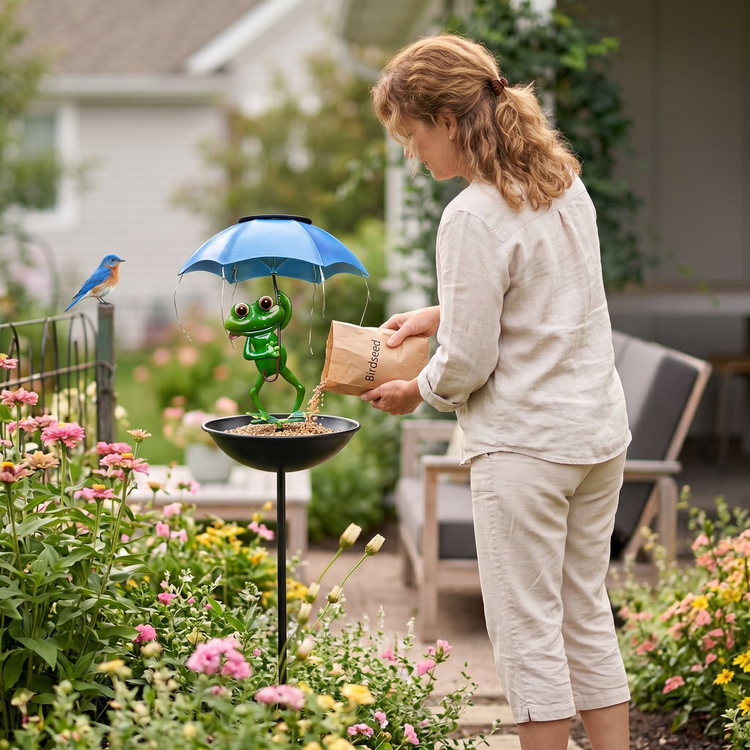 Magic Frog – Adorable Solar Bird Feeder for Backyard Birds