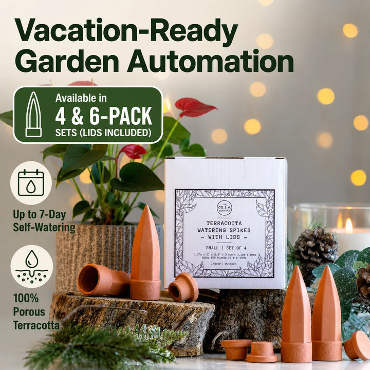 Terracotta Watering Spikes with Lids (4 or 6-Pack)