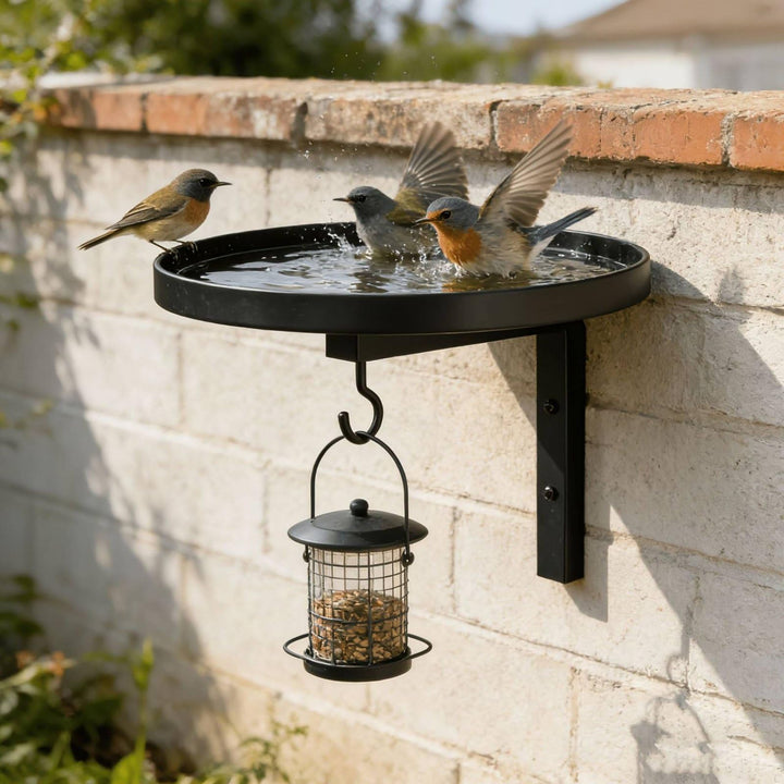 Wall-Mounted Metal Bird Bath &amp; Feeder Station with Hanging Hook