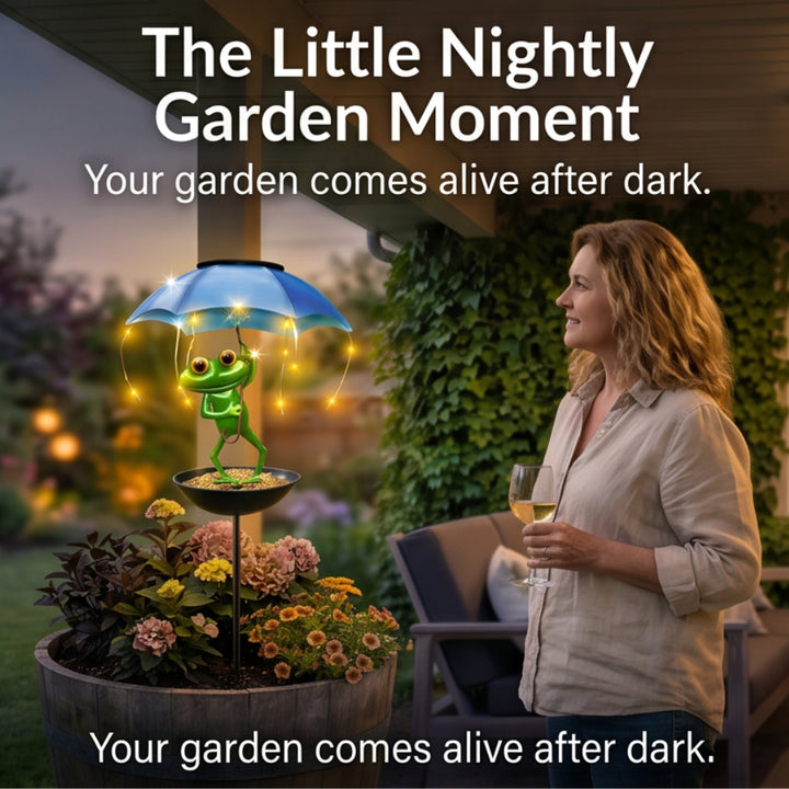 Magic Frog – Adorable Solar Bird Feeder for Backyard Birds