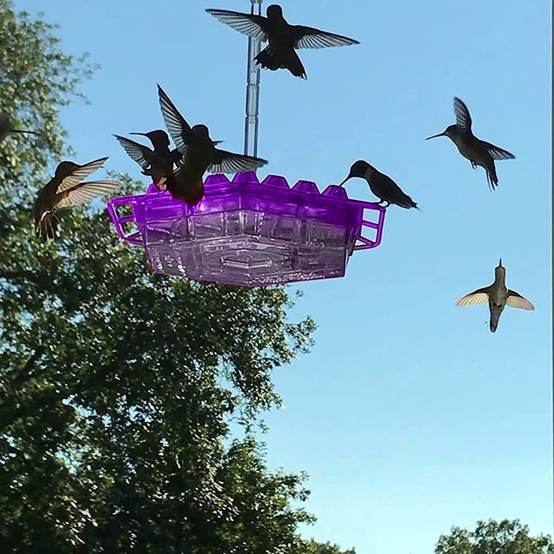 Ant Proof Hummingbird Feeder | 30 Feeding Ports, UV Resistant & Ideal for Outdoor Bird Watching - Purple
