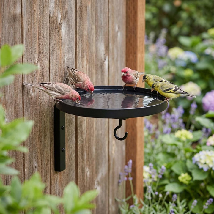 Wall-Mounted Metal Bird Bath &amp; Feeder Station with Hanging Hook