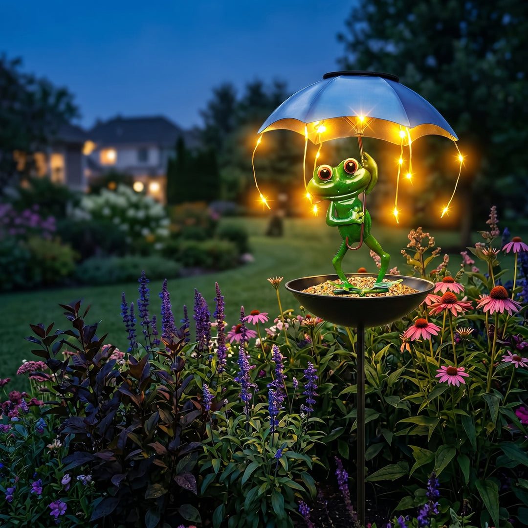 Magic Frog – Adorable Solar Bird Feeder for Backyard Birds