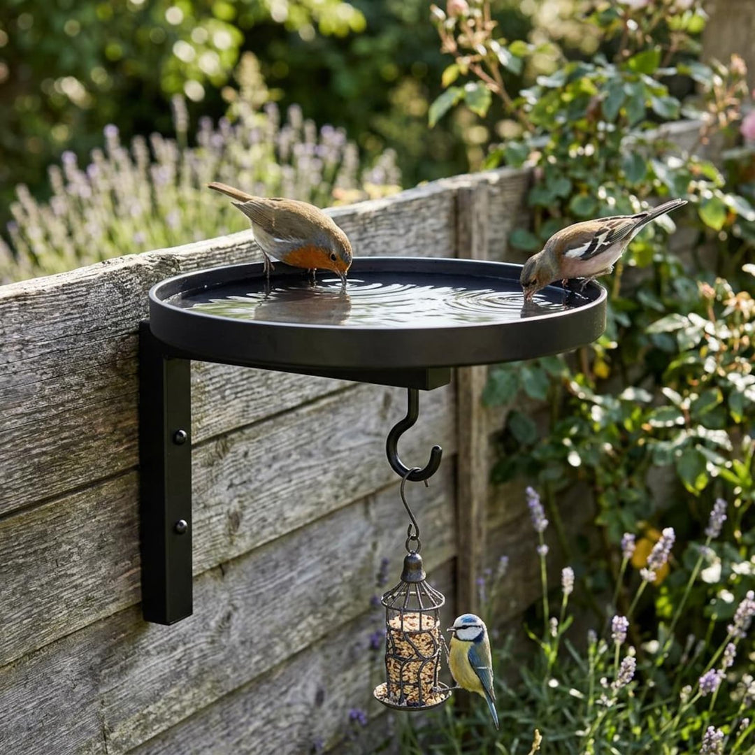 Wall-Mounted Metal Bird Bath &amp; Feeder Station with Hanging Hook
