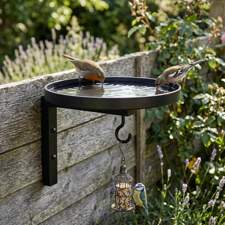 Wall-Mounted Metal Bird Bath &amp; Feeder Station with Hanging Hook