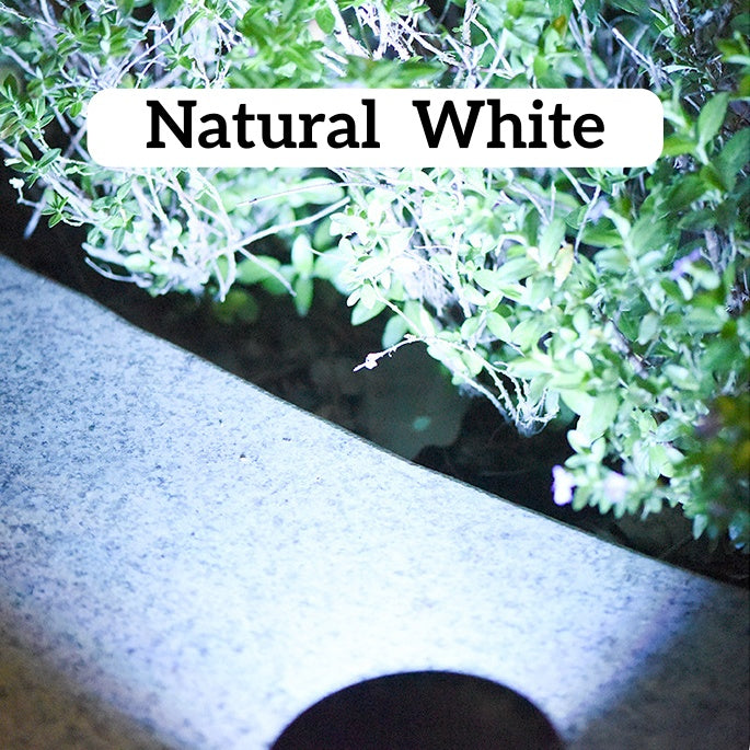 Solar Powered Outdoor Spotlights | Automatic Dusk to Dawn Yard Lights