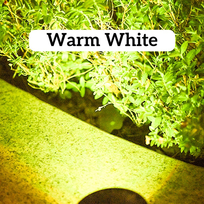 Solar Powered Outdoor Spotlights | Automatic Dusk to Dawn Yard Lights