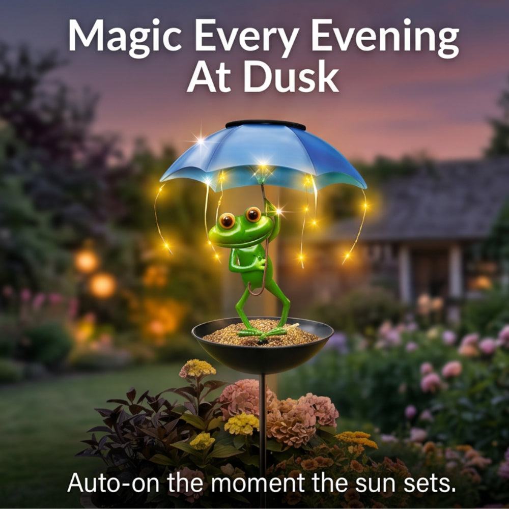Magic Frog – Adorable Solar Bird Feeder for Backyard Birds