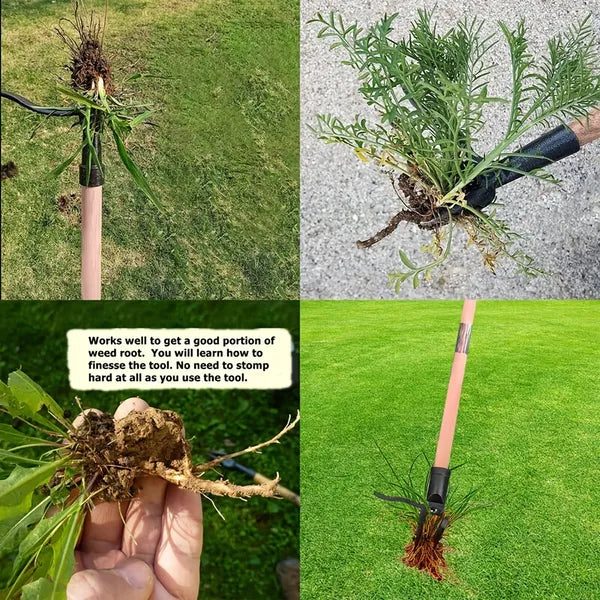Velloraco™ Long-Handle Heavy-Duty Steel Root Extractor