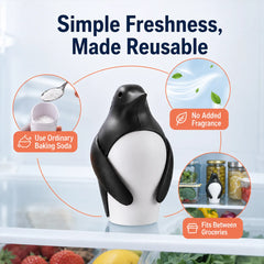 Reusable fragrance-free refrigerator deodorizer benefits