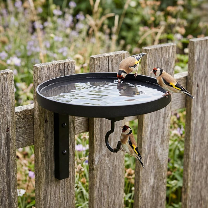 Wall-Mounted Metal Bird Bath &amp; Feeder Station with Hanging Hook