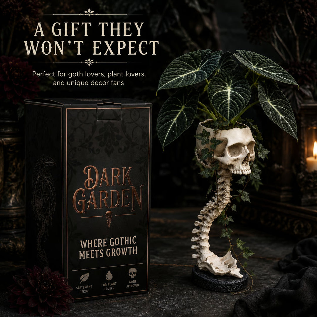 Skull Planter with Stand – Halloween Decor for Shelves