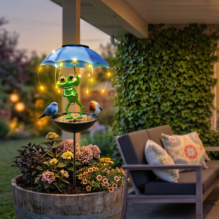 Magic Frog – Adorable Solar Bird Feeder for Backyard Birds