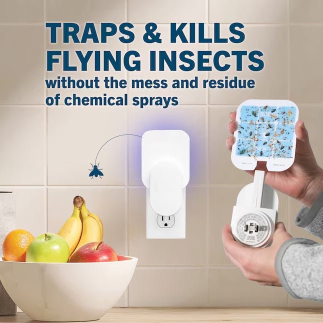 Home Indoor Flying Insect Trap for Fruit Flies, Gnats, Moths, House Flies - Velloraco