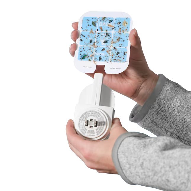 Home Indoor Flying Insect Trap for Fruit Flies, Gnats, Moths, House Flies - Velloraco