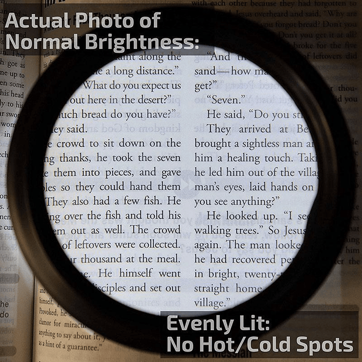 LED Reading Glasses Magnifier - Velloraco